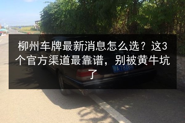 柳州车牌最新消息怎么选？这3个官方渠道最靠谱，别被黄牛坑了 第3张