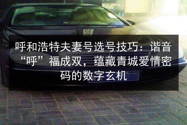 呼和浩特夫妻号选号技巧:谐音“呼”福成双,蕴藏青城爱情密码的数字玄机 第2张 呼和浩特夫妻号选号技巧:谐音“呼”福成双,蕴藏青城爱情密码的数字玄机 第2张