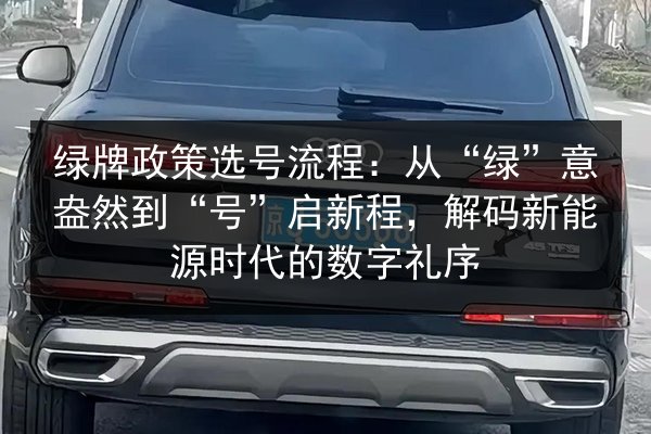 绿牌政策选号流程：从“绿”意盎然到“号”启新程，解码新能源时代的数字礼序 第3张
