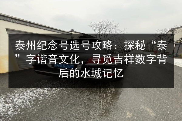 泰州纪念号选号攻略：探秘“泰”字谐音文化，寻觅吉祥数字背后的水城记忆 第2张