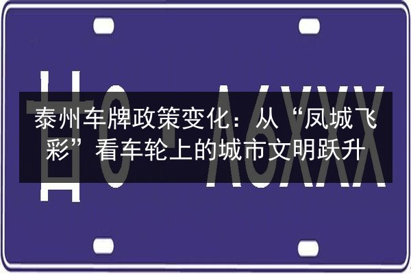泰州车牌政策变化：从“凤城飞彩”看车轮上的城市文明跃升 第2张