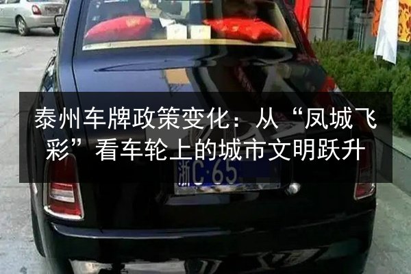 泰州车牌政策变化：从“凤城飞彩”看车轮上的城市文明跃升 第3张