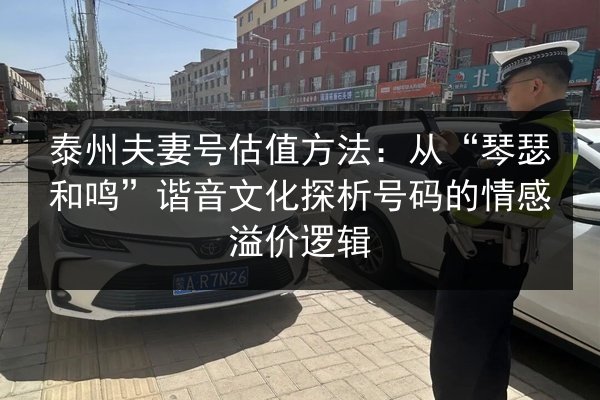 泰州夫妻号估值方法:从“琴瑟和鸣”谐音文化探析号码的情感溢价逻辑 第2张 泰州夫妻号估值方法:从“琴瑟和鸣”谐音文化探析号码的情感溢价逻辑 第2张