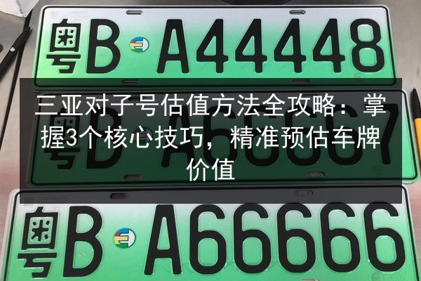 三亚对子号估值方法全攻略:掌握3个核心技巧,精准预估车牌价值 第2张 三亚对子号估值方法全攻略:掌握3个核心技巧,精准预估车牌价值 第2张