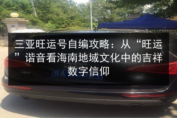 三亚旺运号自编攻略:从“旺运”谐音看海南地域文化中的吉祥数字信仰 第2张 三亚旺运号自编攻略:从“旺运”谐音看海南地域文化中的吉祥数字信仰 第2张