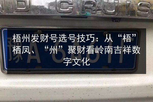 梧州发财号选号技巧：从“梧”栖凤、“州”聚财看岭南吉祥数字文化 第3张