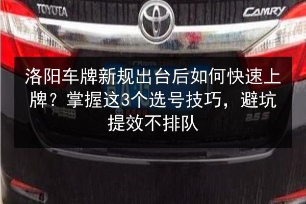 洛阳车牌新规出台后如何快速上牌?掌握这3个选号技巧,避坑提效不排队 第2张 洛阳车牌新规出台后如何快速上牌?掌握这3个选号技巧,避坑提效不排队 第2张