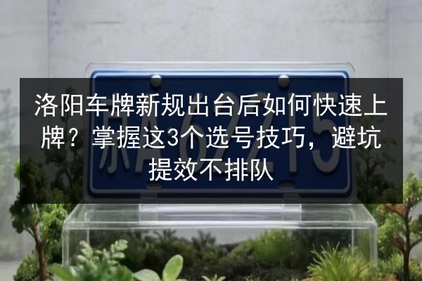 洛阳车牌新规出台后如何快速上牌?掌握这3个选号技巧,避坑提效不排队 第3张 洛阳车牌新规出台后如何快速上牌?掌握这3个选号技巧,避坑提效不排队 第3张