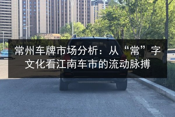 常州车牌市场分析:从“常”字文化看江南车市的流动脉搏 第3张 常州车牌市场分析:从“常”字文化看江南车市的流动脉搏 第3张