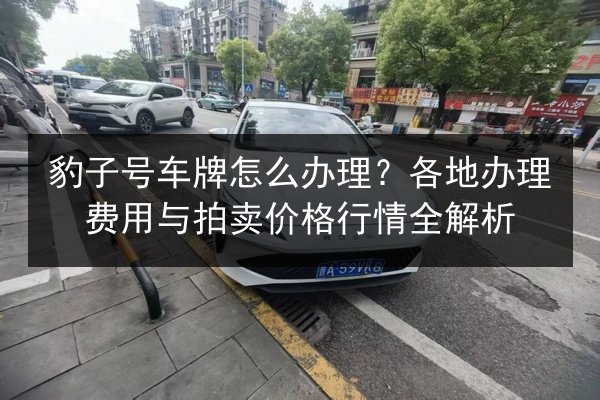 豹子号车牌怎么办理？各地办理费用与拍卖价格行情全解析 第2张