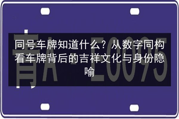 同号车牌知道什么?从数字同构看车牌背后的吉祥文化与身份隐喻 第1张 同号车牌知道什么?从数字同构看车牌背后的吉祥文化与身份隐喻 第1张