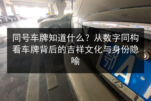同号车牌知道什么?从数字同构看车牌背后的吉祥文化与身份隐喻 第2张 同号车牌知道什么?从数字同构看车牌背后的吉祥文化与身份隐喻 第2张