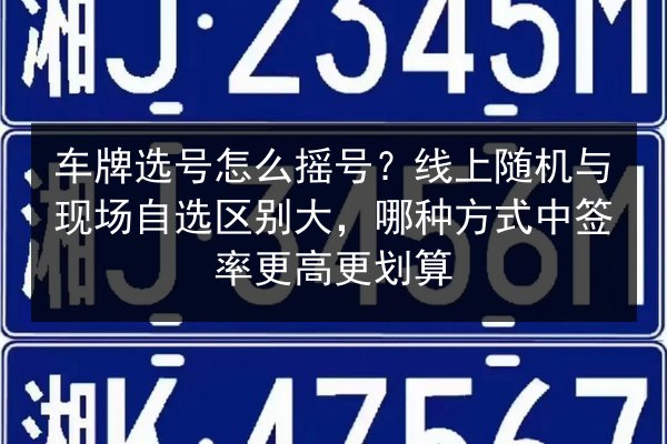 车牌选号怎么摇号？线上随机与现场自选区别大，哪种方式中签率更高更划算 第2张