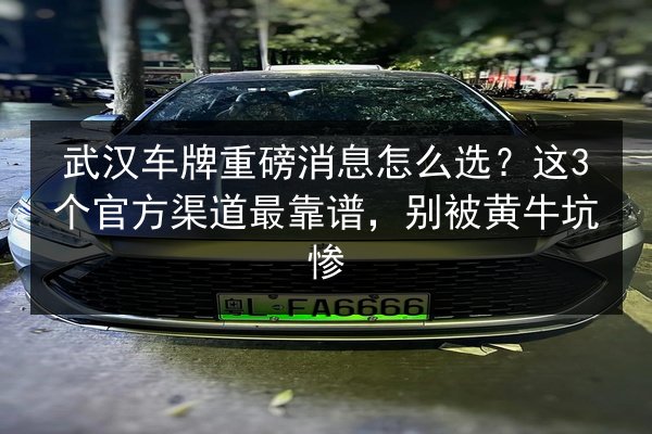 武汉车牌重磅消息怎么选？这3个官方渠道最靠谱，别被黄牛坑惨 第2张