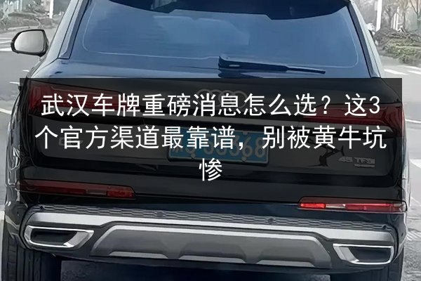 武汉车牌重磅消息怎么选？这3个官方渠道最靠谱，别被黄牛坑惨 第3张