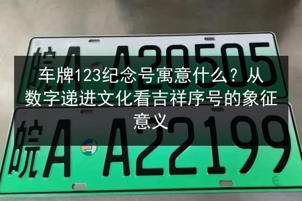 车牌123纪念号寓意什么？从数字递进文化看吉祥序号的象征意义 第2张