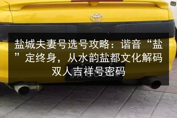 盐城夫妻号选号攻略：谐音“盐”定终身，从水韵盐都文化解码双人吉祥号密码 第2张