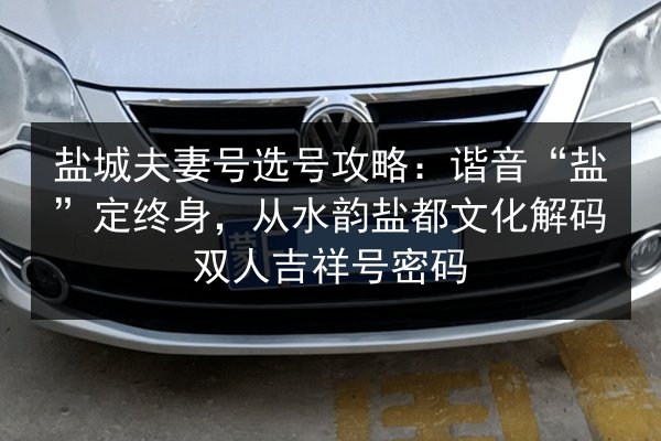 盐城夫妻号选号攻略：谐音“盐”定终身，从水韵盐都文化解码双人吉祥号密码 第3张