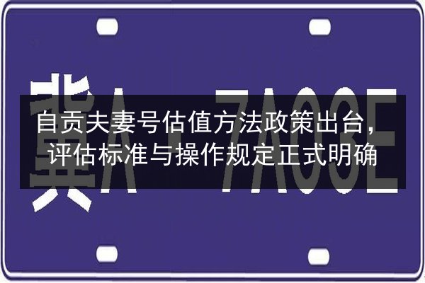 自贡夫妻号估值方法政策出台，评估标准与操作规定正式明确 第2张