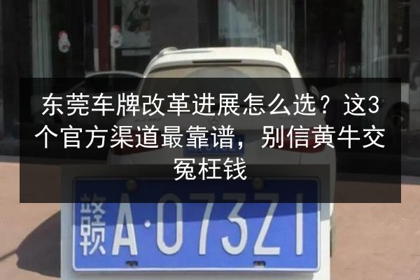 东莞车牌改革进展怎么选？这3个官方渠道最靠谱，别信黄牛交冤枉钱 第3张
