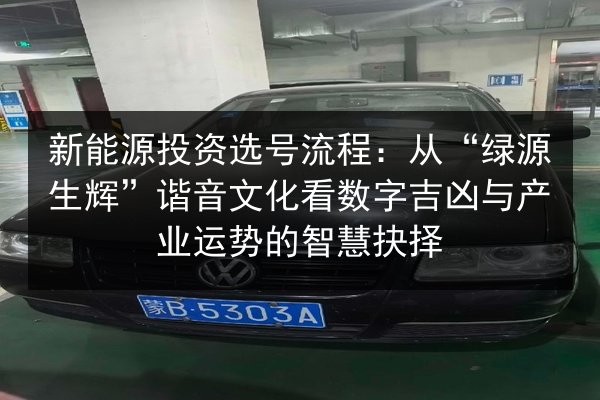 新能源投资选号流程：从“绿源生辉”谐音文化看数字吉凶与产业运势的智慧抉择 第3张