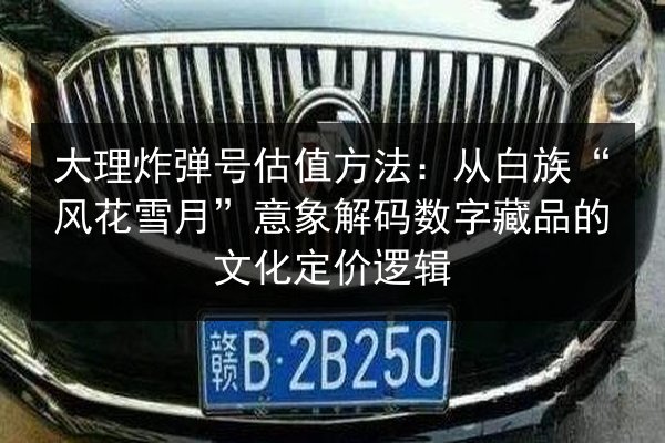 大理炸弹号估值方法：从白族“风花雪月”意象解码数字藏品的文化定价逻辑 第2张
