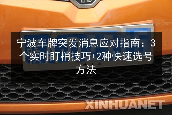 宁波车牌突发消息应对指南：3个实时盯梢技巧+2种快速选号方法 第2张