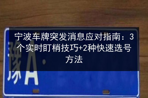 宁波车牌突发消息应对指南：3个实时盯梢技巧+2种快速选号方法 第3张
