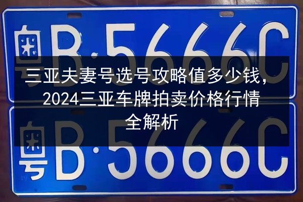 三亚夫妻号选号攻略值多少钱，2024三亚车牌拍卖价格行情全解析 第2张