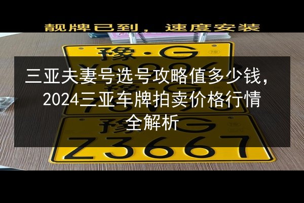 三亚夫妻号选号攻略值多少钱，2024三亚车牌拍卖价格行情全解析 第3张