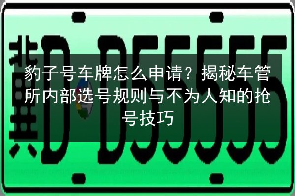 豹子号车牌怎么申请？揭秘车管所内部选号规则与不为人知的抢号技巧 第2张
