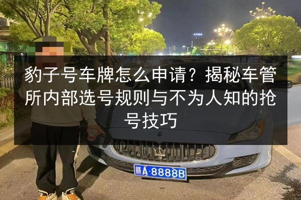 豹子号车牌怎么申请？揭秘车管所内部选号规则与不为人知的抢号技巧 第3张