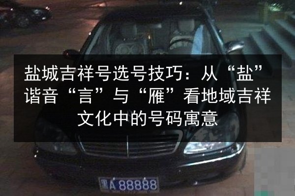 盐城吉祥号选号技巧：从“盐”谐音“言”与“雁”看地域吉祥文化中的号码寓意 第2张