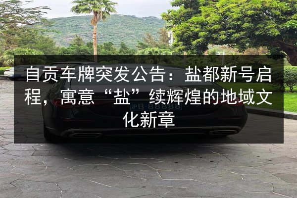 自贡车牌突发公告:盐都新号启程,寓意“盐”续辉煌的地域文化新章 第2张 自贡车牌突发公告:盐都新号启程,寓意“盐”续辉煌的地域文化新章 第2张