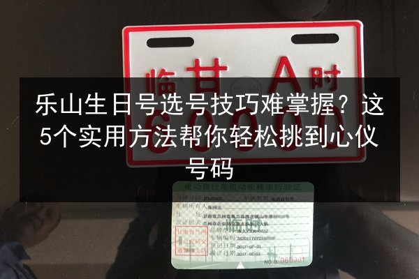 乐山生日号选号技巧难掌握？这5个实用方法帮你轻松挑到心仪号码 第2张