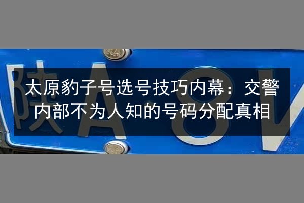 太原豹子号选号技巧内幕:交警内部不为人知的号码分配真相 第2张 太原豹子号选号技巧内幕:交警内部不为人知的号码分配真相 第2张