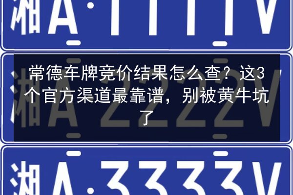 常德车牌竞价结果怎么查？这3个官方渠道最靠谱，别被黄牛坑了 第2张
