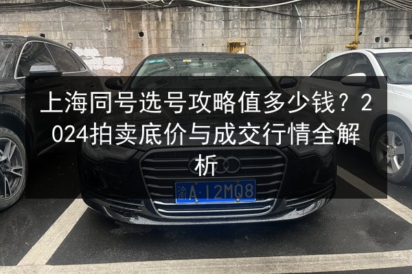 上海同号选号攻略值多少钱？2024拍卖底价与成交行情全解析 第2张