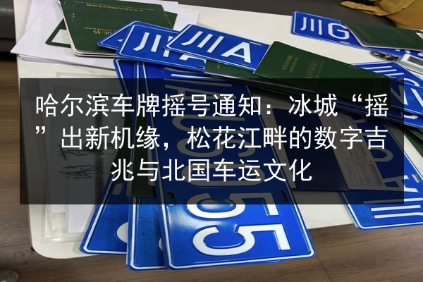 哈尔滨车牌摇号通知：冰城“摇”出新机缘，松花江畔的数字吉兆与北国车运文化 第2张