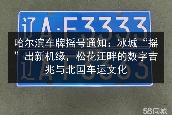 哈尔滨车牌摇号通知：冰城“摇”出新机缘，松花江畔的数字吉兆与北国车运文化 第3张