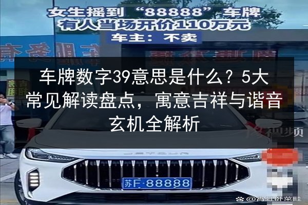 车牌数字39意思是什么？5大常见解读盘点，寓意吉祥与谐音玄机全解析 第2张