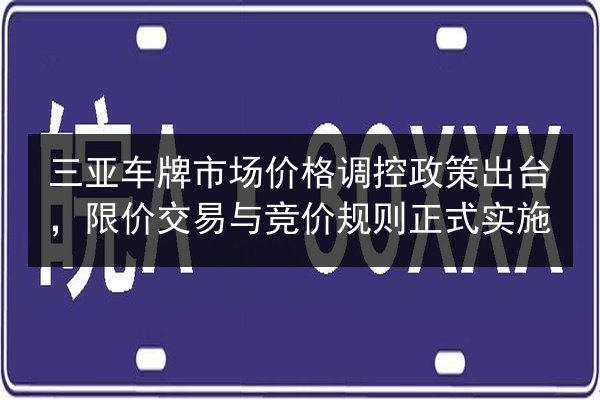 三亚车牌市场价格调控政策出台,限价交易与竞价规则正式实施 第3张 三亚车牌市场价格调控政策出台,限价交易与竞价规则正式实施 第3张