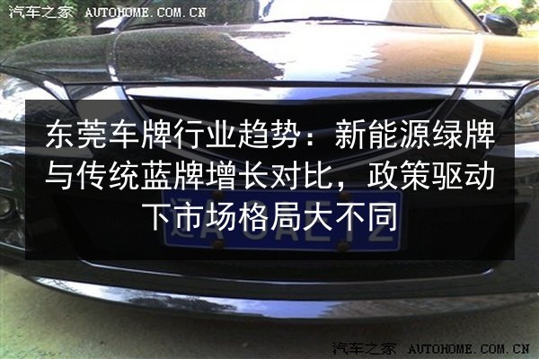 东莞车牌行业趋势：新能源绿牌与传统蓝牌增长对比，政策驱动下市场格局大不同 第3张