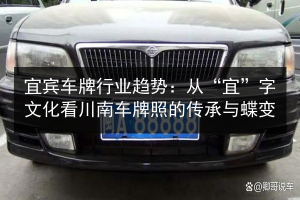宜宾车牌行业趋势：从“宜”字文化看川南车牌照的传承与蝶变 第3张