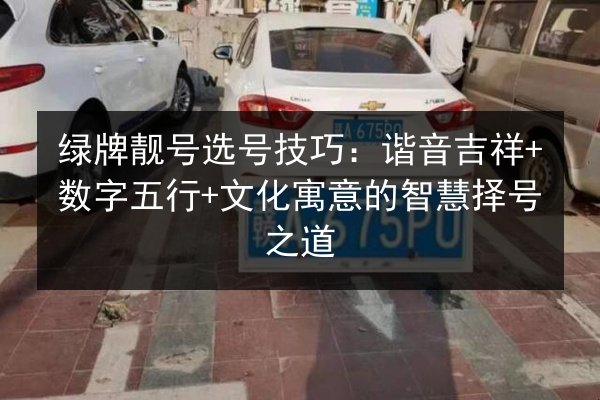 绿牌靓号选号技巧:谐音吉祥+数字五行+文化寓意的智慧择号之道 第2张 绿牌靓号选号技巧:谐音吉祥+数字五行+文化寓意的智慧择号之道 第2张