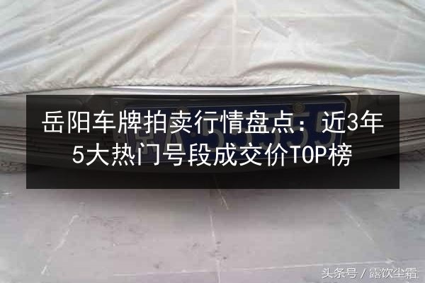 岳阳车牌拍卖行情盘点：近3年5大热门号段成交价TOP榜 第2张