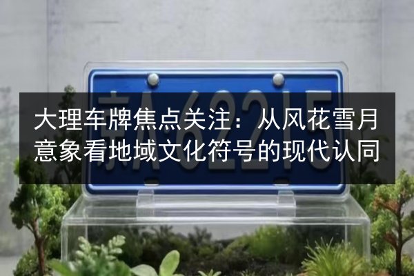 大理车牌焦点关注：从风花雪月意象看地域文化符号的现代认同 第2张