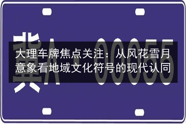 大理车牌焦点关注：从风花雪月意象看地域文化符号的现代认同 第3张