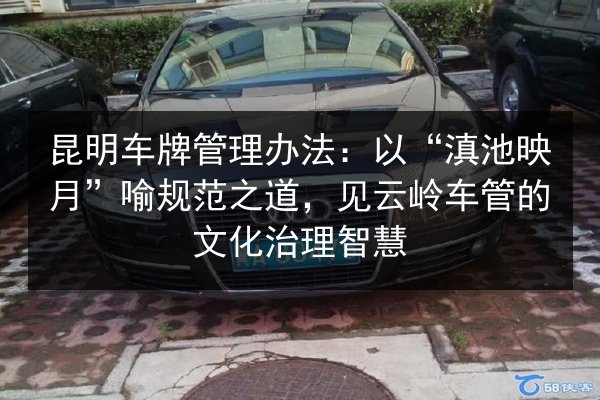 昆明车牌管理办法：以“滇池映月”喻规范之道，见云岭车管的文化治理智慧 第2张