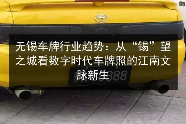 无锡车牌行业趋势:从“锡”望之城看数字时代车牌照的江南文脉新生 第3张 无锡车牌行业趋势:从“锡”望之城看数字时代车牌照的江南文脉新生 第3张